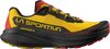 yellow / black / red