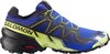 blue / black / yellow