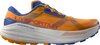 Apricot / Cobalt Blue